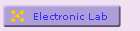 Electronic Lab